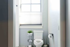 View into a bathroom, showing just the toilet and window behind it.